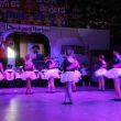 IMG_8272.jpg