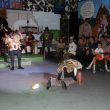 batch_IMG_3100.jpg
