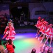 batch_IMG_5065.jpg