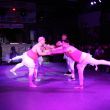 IMG_3517.jpg