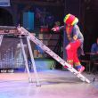 IMG_3570.jpg