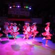 IMG_6503.jpg