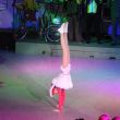 IMG_8434.jpg