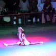 batch_IMG_3692.jpg