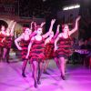 IMG_7863.jpg