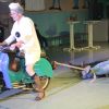 IMG_7583.jpg