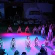 batch_IMG_4443.jpg