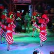 IMG_5384.jpg