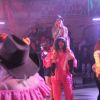 IMG_7507.jpg