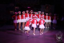 IMG_3241.jpg