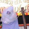 IMG_0488.jpg