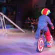 IMG_3561.jpg
