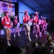 batch_IMG_6115.jpg